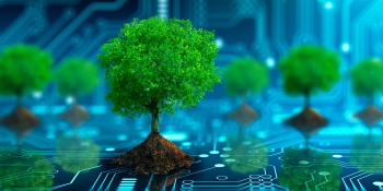 The secret to achieving sustainability in the supply chain