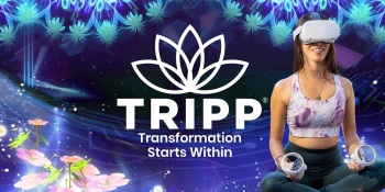 Tripp raises $11.2M to build the mindful metaverse
