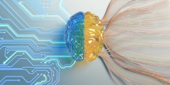 Meta AI announces long-term study on human brain and language processing