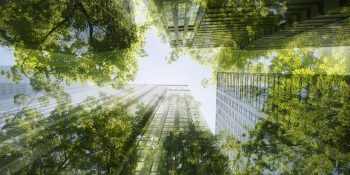 Report: Sustainability is a top 10 priority for CEOs this year