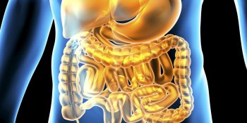 Imec makes strides in creation of a medical digital twin for gut health