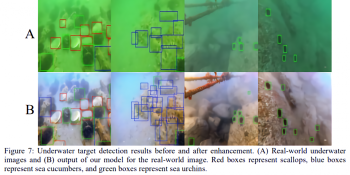 Researchers detail AI that de-hazes and colorizes underwater photos